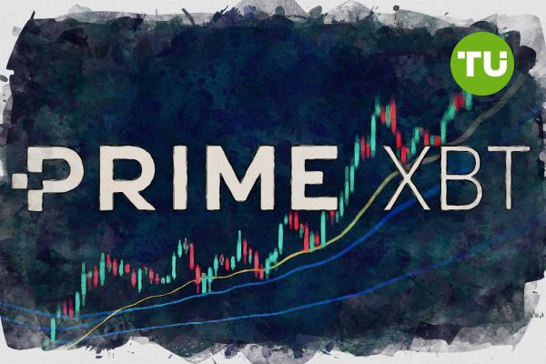 Understanding the PrimeXBT Download Statement