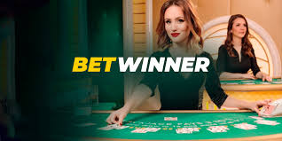 Discover the Features of the BetWinner Betting Platform