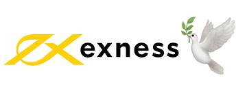 Understanding Exness Common Error Solutions and Insights Understanding Exness Common Error Solutions and Insights